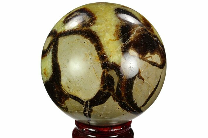 Polished Septarian Sphere - Madagascar #122919